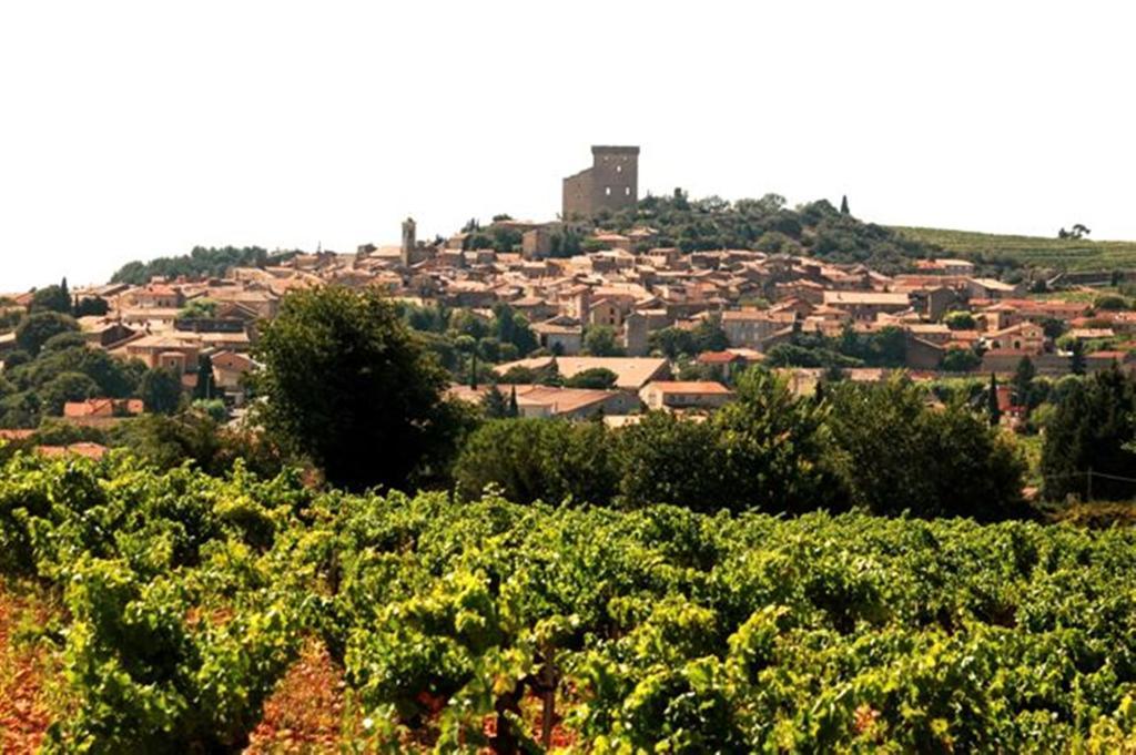 Le Mas De L'Amandier Saint-Saturnin-lès-Avignon Eksteriør billede